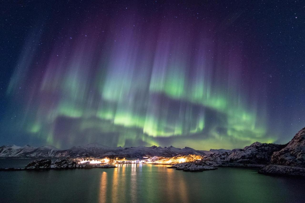 Hotel Hamn I Senja Zewnętrze zdjęcie